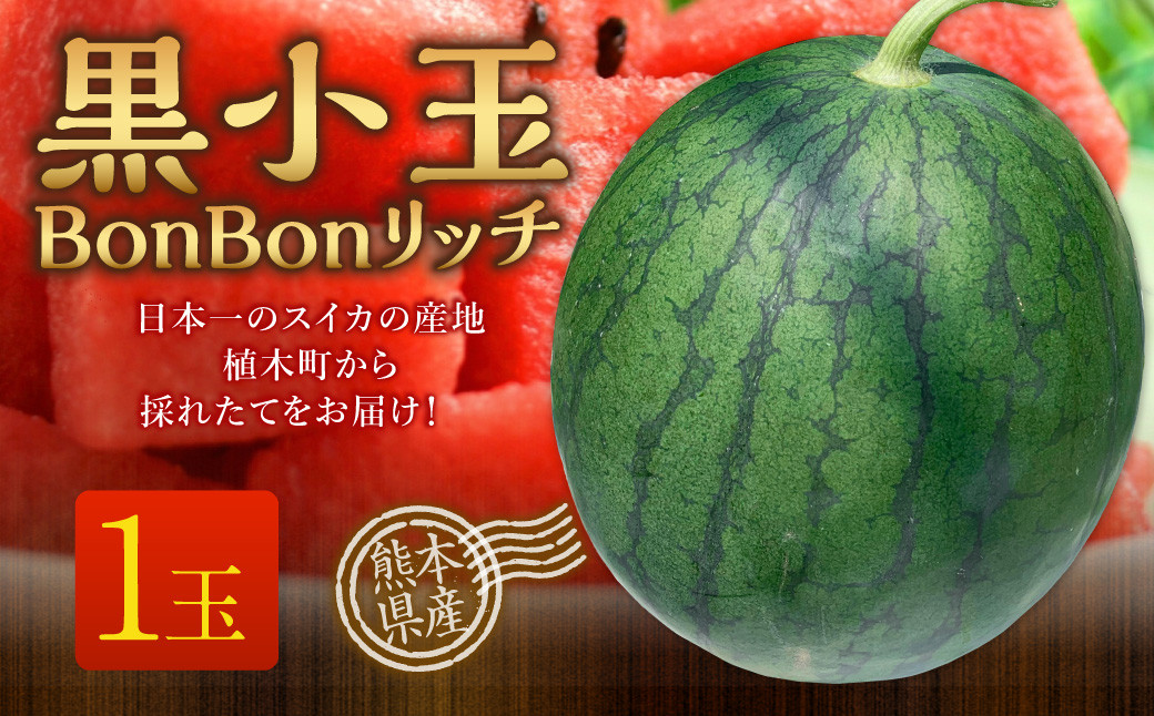 
                  黒小玉 BonBonリッチ 1玉 【2026年5月下旬から6月上旬迄発送予定】すいか 西瓜 果物 くだもの フルーツ
                