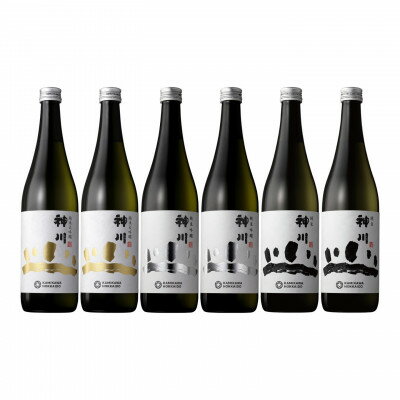 【ふるさと納税】神川　純米・純米吟醸・純米大吟醸　各2本　6本セット【配送不可地域：離島】【1636003】