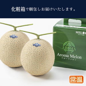 a32-026　メロン 温室 アローマ 果物 ハウス 白等級 2玉 GABA