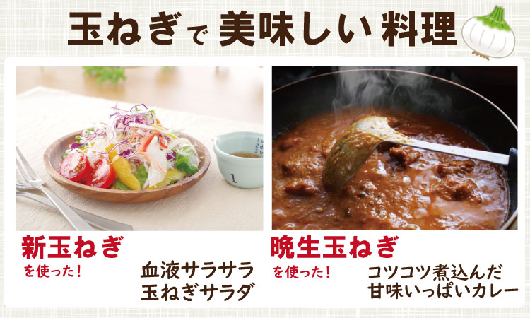 【先行予約受付中】平石さん家の晩生玉ねぎ！サイズL～Mサイズ（10kg） タマネギ 玉葱  農家直送  送料無料