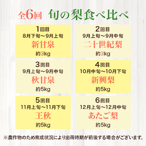 【先行予約】 梨王国2026 旬の梨 食べ比べ 全6回 定期便 合計約28kg（鳥取県産）梨 フルーツ 果物