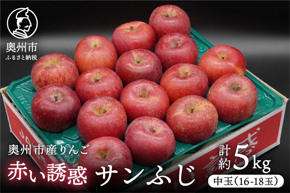 
            奥州市産りんご 赤い誘惑「サンふじ」 中玉約5kg 16-18玉 優品 フルーツ 果物 1箱 [AQ077]
          