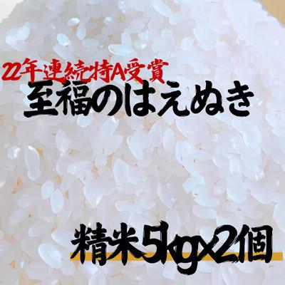 ふるさと納税 新庄市 至福のはえぬき(精米)5kg×2袋