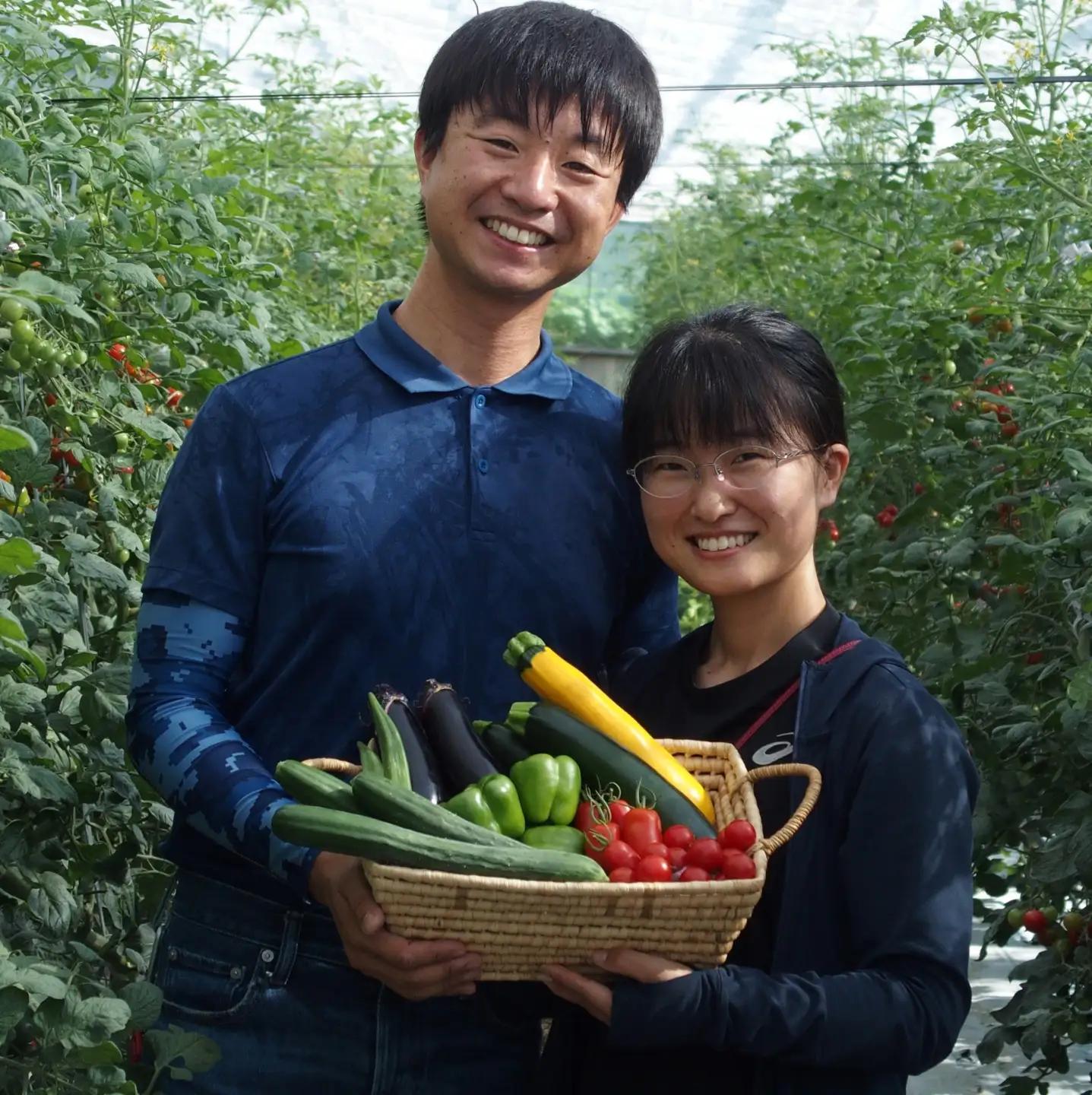 信州ありさんファーム 旬の野菜 7~9品 夏版 【有機JAS認証】|有機野菜 野菜