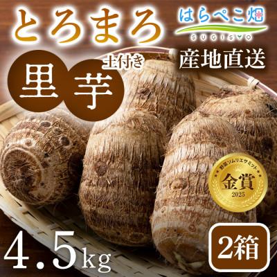 ふるさと納税 西尾市 【粘りと甘みが段違い】里芋『とろまろ』土付き・4.5kg2箱・H121