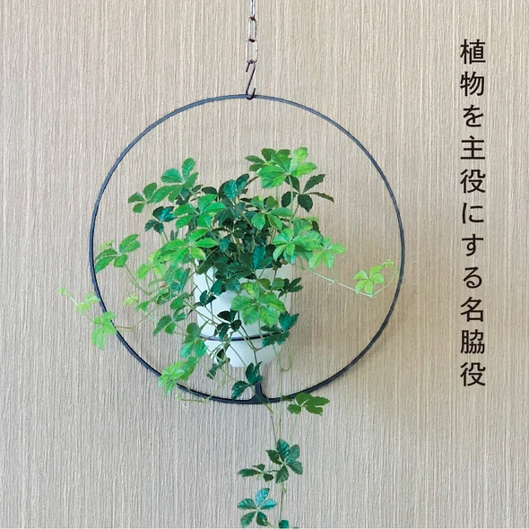 GRAVIRoN Hang Plants シリーズ Round 黒皮鉄（プランツハンガー） 観葉植物 プランター_イメージ2