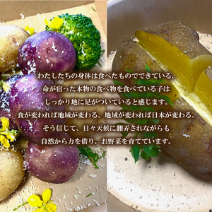 じゃがいも 5kg 産地直送【2026年1月以降順次発送】じゃがいもじゃがいもじゃがいもじゃがいもじゃがいもじゃがいもじゃがいもじゃがいもじゃがいもじゃがいもじゃがいもじゃがいもじゃがいもじゃがいもじ