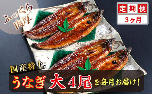 
【定期便３回】国産！特上うなぎのかば焼き 約200g × 4尾 × 3回お届け （毎月お届け）
