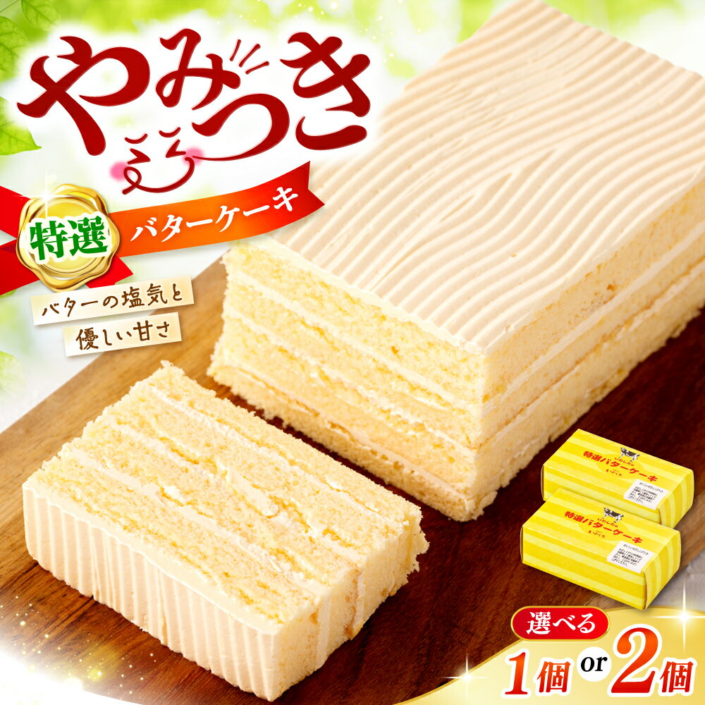 【ふるさと納税】【☆選べる個数☆】 特選 バターケーキ ＜お菓子のいわした＞ [CAM048] ケーキ バタークリームケーキ お祝い お菓子 おやつ 贈答 ギフト バレンタイン ホワイトデー クリスマス 9000円 10000円 一万円