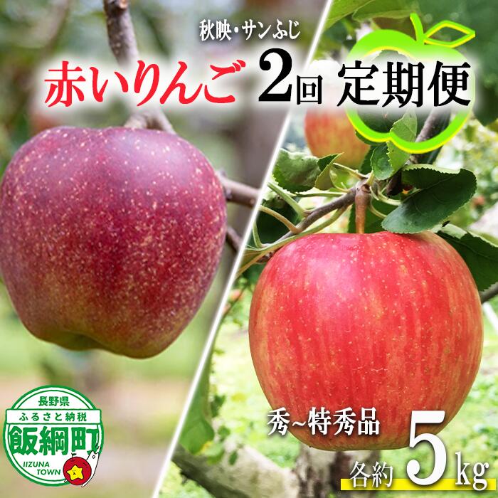 【ふるさと納税】 赤いりんご 【 定期便 】 秀 〜 特秀 5kg × 2回 永正の地蔵尊神谷農園 沖縄県への配送不可 令和7年度収穫分 長野県 飯綱町 〔 信州 果物 フルーツ リンゴ 林檎 長野 31000円 予約 農家直送 〕発送期間：2025年10月上旬〜2025年12月中旬
