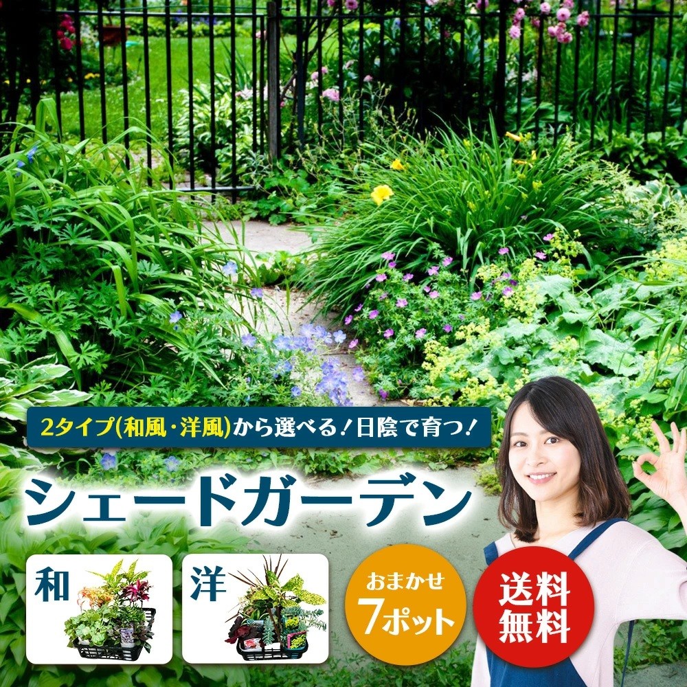 
                  【選べるセット】2タイプから選べる！日陰で育つシェードガーデン【ガーデニング 家庭菜園 園芸 初夏 夏 花壇 庭 鉢 玄関 プランター 寄せ植え おうち時間 趣味 ベランダ 土っ子倶楽部 プレゼント ギフト 】
                