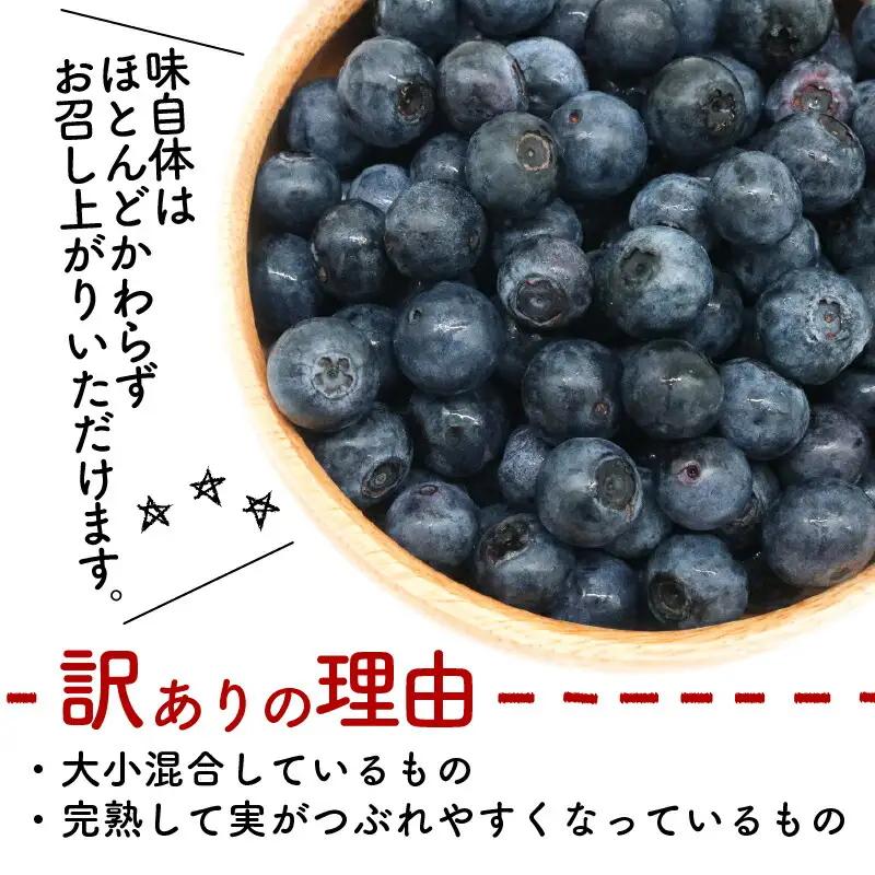【先行予約】訳あり完熟生ブルーベリー ラビットアイ系 1800g (2027年発送) | フルーツ 果物 ベリー