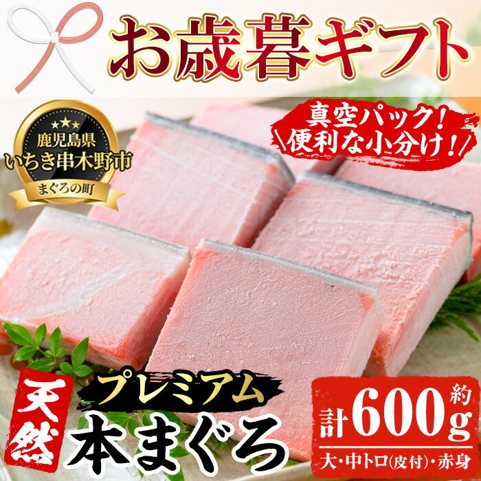【ふるさと納税】＜2025年お歳暮ギフト＞《プレミアム》天然本まぐろフルセット(計600g) 100g柵でお届け！肉厚のお刺身や海鮮丼に！まぐろ 鮪 魚介 刺し身 刺身 さしみ 海鮮丼 本まぐろ 本マグロ 小分け 便利 冷凍 新鮮【海鮮まぐろ家】
