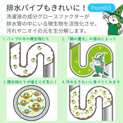 ふるさと納税 龍ケ崎市 洗剤なのに弱酸性+パイプクリーナーの機能が唯一ある環境配慮型洗剤　緑の魔女キッチン5L×3セット |  | 02