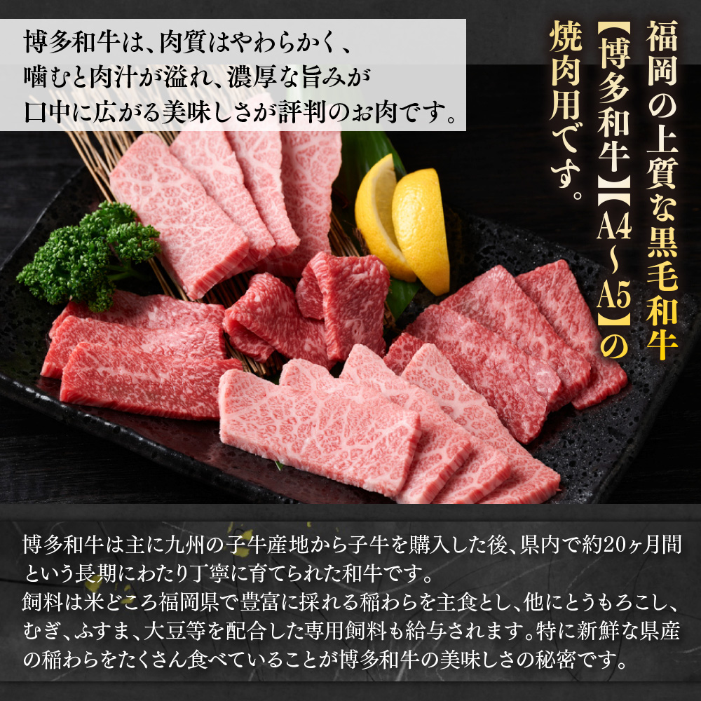 【毎月定期便】訳あり!【A4〜A5】博多和牛焼肉切り落とし 500g 全6回　AO090