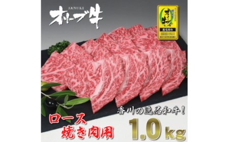 黒毛和牛オリーブ牛ロース焼肉用 約500ｇ×２_M18-0029