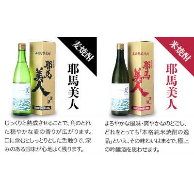 ふるさと納税 中津市 米焼酎・麦焼酎　耶馬美人25度　1,800ml×各3本 |  | 01