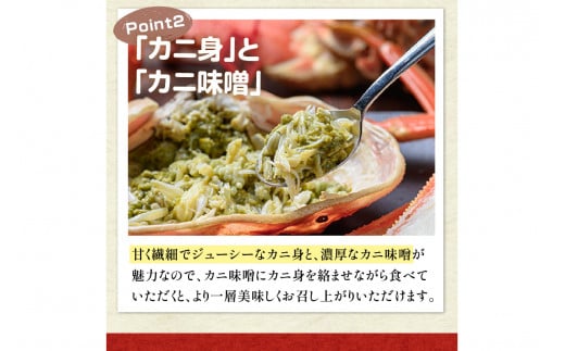 【蟹の匠 魚政】京丹後市産 未冷凍 茹で間人ガニ大善ガニ 特撰 小サイズ (600~700g) 2匹セット（11月～12月発送）
