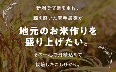 数量限定 13000円 新米農家のこしひかり 5kg お米 おこめ 米 コメ ごはん コシヒカリ ご飯 ブランド米 精米 令和7年 6か月 令和6年産 売り切れ 米 備蓄米 よりおいしい 愛知県 田原