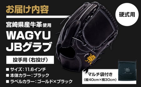 宮崎県産牛革使用 WAGYU JB 硬式用 グラブ 投手用 JB-001T(ブラック/右投げ用)