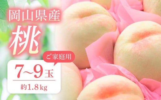 桃 2026年 ご家庭用 おかやま の 桃 約1.8kg（7～9玉） 【桃 もも 岡山県産 国産 フルーツ 果物 新鮮 おすすめ 人気 岡山県 岡山市 国産 先行予約】