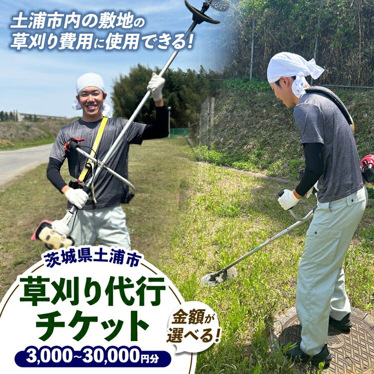 【ふるさと納税】【選べる金額】土浦市内の敷地の草刈費用に使用できる 3,000～30,000円券