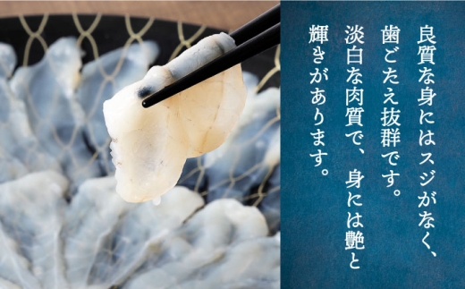 【2027年1月配送】とらふぐ 刺身＆鍋（3～4人前） 《壱岐市》【なかはら】 [JDT005] ふぐ フグ 河豚 とらふぐ トラフグ 刺身 刺し身 ふぐ刺し フグ刺し てっさ ふぐ鍋 フグ鍋 魚介 