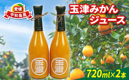 玉津 みかんジュース 温州みかん 720ml× 2本 玉津柑橘倶楽部 先行予約 100％ジュース ストレートジュース ジュース 愛媛みかん 愛媛蜜柑 愛媛ミカン うんしゅう みかん mikan 果物 フルーツ 柑橘 濃厚 甘い 甘味 蜜柑 産地直送 数量限定 国産 愛媛 宇和島 H010-072049