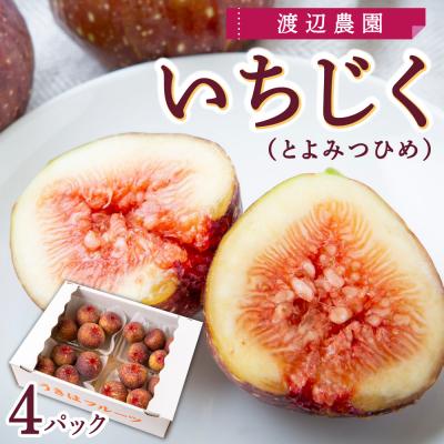 ふるさと納税  うきは市 【先行受付】渡辺農園 いちじく (とよみつひめ) 4パック 2025年7月下旬から8月下旬 出荷予定