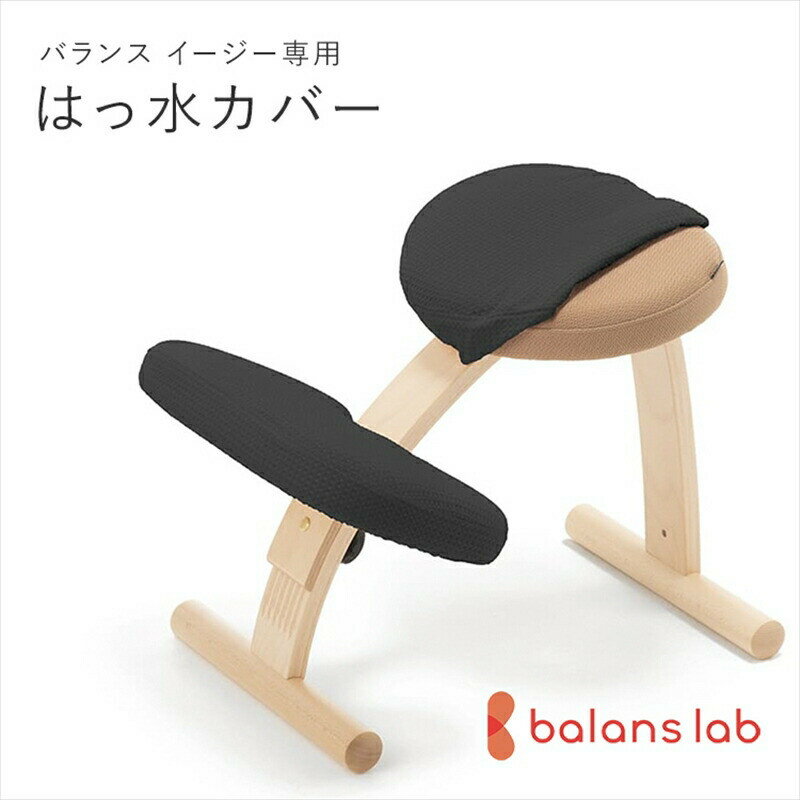 【ふるさと納税】＜カラーをお選びください＞バランスイージー専用はっ水カバー ドットワッフル【 バランスイージー カバー 大阪府 門真市 】