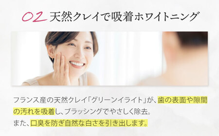 クレイ＆ソルト トゥースペースト 100g 1本 歯磨き粉[AOEP002] 歯磨き粉