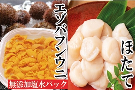 エゾバフンウニ塩水パック150g×1P、お刺身ホタテ貝柱500g×1P[11月下旬以降発送] E-40018