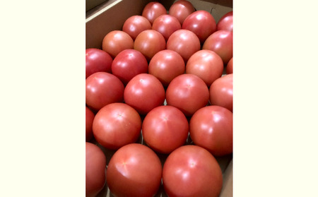 トマト 4kg 大玉 夏 野菜 信州産 トマト
