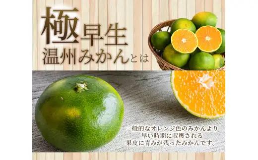 みかん 訳あり 極早生温州みかん 約10kg＋傷み保証分400g 2S～3Lサイズおまかせ【njb692A】