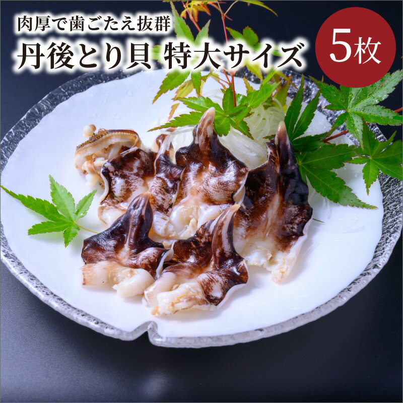 【ふるさと納税】特大肉厚／丹後とり貝 ボイル済み 特大サイズ 5枚入り 貝類 海鮮 海の幸 魚介類 魚介 おつまみ お酒のお供 ボイル 京都 京丹後 炙り 寿司ネタ とりがい トリガイ 鳥貝 二枚貝 高級 ブランド貝 肉厚 甘み 国産 天然