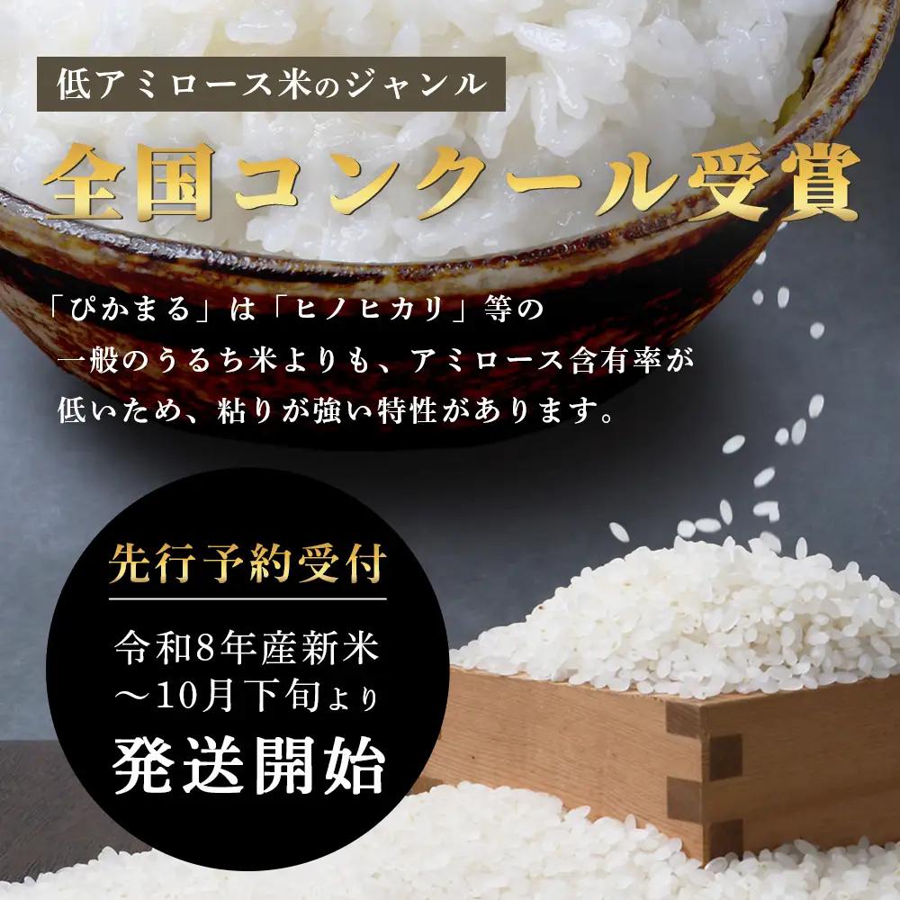 【令和8年産 新米 予約】多良木町産 ぴかまる 10kg(5kg×2) 10月下旬～順次発送 熊本 065-0641