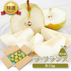 SA3039　酒田産【特選】ラ・フランス　約3kg(玉数おまかせ)