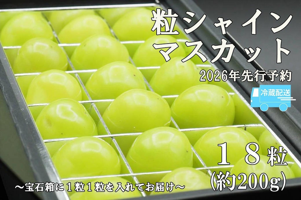 
            【令和８年度先行予約】《厳選・宝石箱》シャインマスカットひと口BOX(18粒入り・約200g)※冷蔵発送※　シャイン マスカット ぶどう 葡萄 ブドウ 房なし 粒シャイン 粒のみ 粒だけ くだもの 果物 フルーツ 山梨 やまなし 富士川町
          