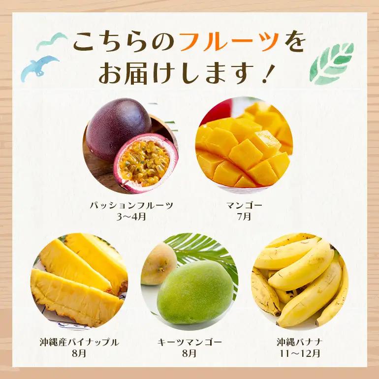 フルーツ 定期便 全 5回 名護パイン園 マンゴー バナナ パッション ドラゴンフルーツ パイナップル 178-13