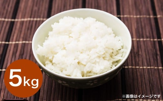 令和7年産 大分県産米 精米 5kg✕1袋 【2025年10月上旬より順次発送予定】