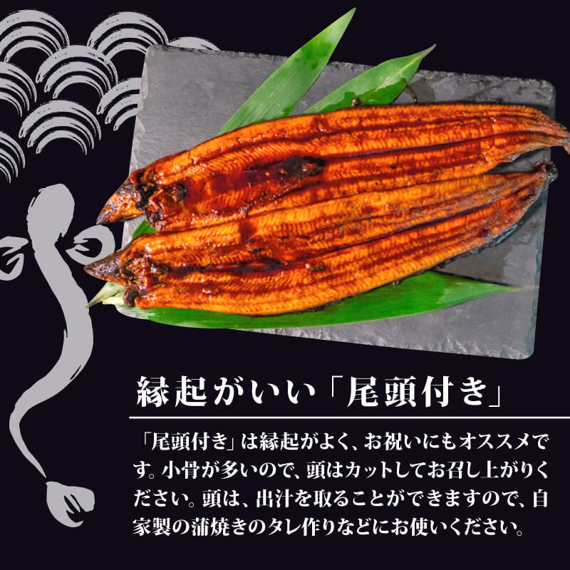 有頭 うなぎ 蒲焼 2尾 240g以上（ 120g～140g × 2尾 ） | 鰻 ウナギ 蒲焼 蒲焼き 大人気 タレ スタミナ 夏バテ 小分け 真空包装 冷凍 台湾産 養殖 高知県 須崎市