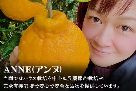 『先行予約』【令和9年2月中旬より順次発送】唐津産 不知火(琥珀) 約5kg(約16～20玉) デコポン でこぽん ミカン みかん 柑橘 フルーツ 果物