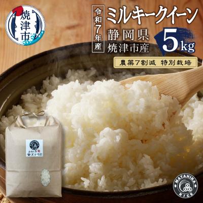 ふるさと納税 焼津市 令和7年産 特別栽培 安心 安全 の ミルキークイーン 白米5kg(a14-135)