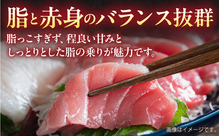 【全12回定期便】【訳あり】天然 まぐろ 中トロ（約1kg）【横須賀商工会議所 おもてなしギフト事務局（本まぐろ直売所）】 [AKAK052]