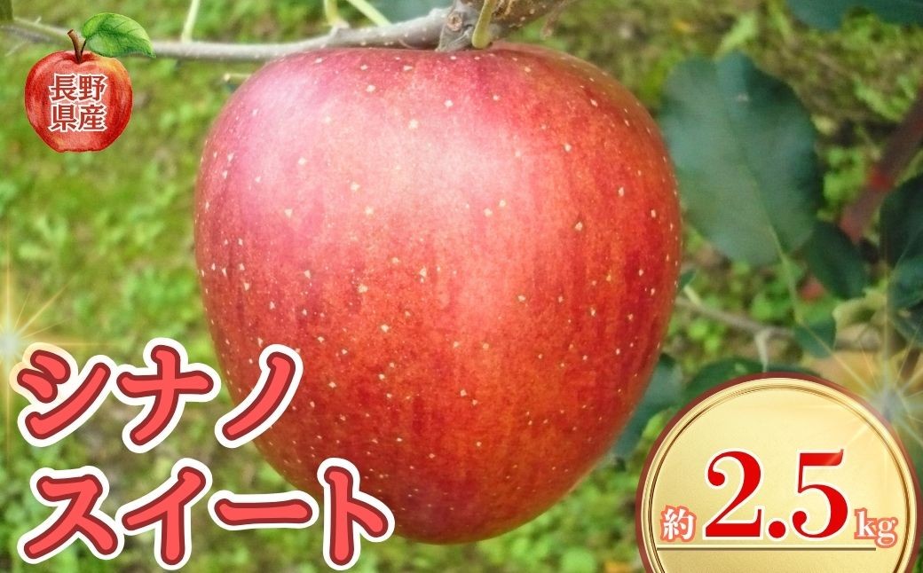 
            【2026年先行予約】長野県産りんご シナノスイート(長野県オリジナル品種) 約2.5kg｜林檎 フルーツ 果物 長野県 千曲市 信州
          