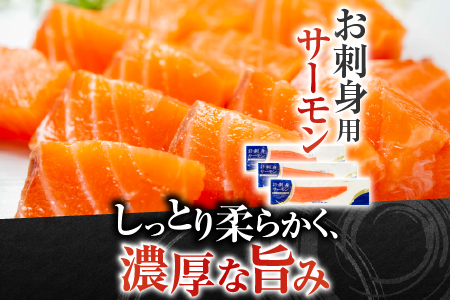 お刺身トラウトサーモン800g＆塩サーモンハラス440g A-09033