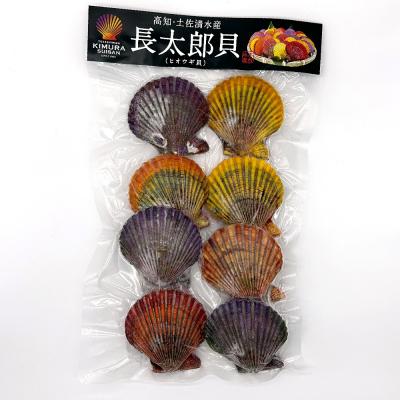 ふるさと納税 土佐清水市 【9月発送】冷凍 ヒオウギ貝 8個セット ホタテの仲間  真空パック BBQ 海鮮【R00802】 |  | 01