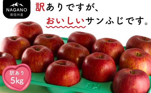 MZ12 南信州産 サンふじりんご 訳あり 約5kg / 2026年12月中旬頃～12月下旬頃配送予定 // 長野県 南信州 さんふじ サンフジ ふじりんご 訳あり 家庭用 自宅用