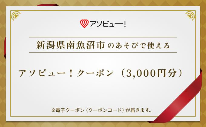 
            【南魚沼市】アソビュー！ふるさと納税クーポン（3,000円分）
          