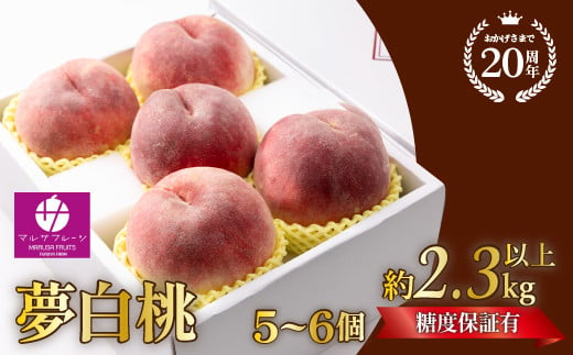 【数量超限定】夢白桃  2.3kg以上（5～6個）光センサ使用　糖度13.5％以上　朝摘み産地直送088-029|白桃 もも 桃 甘い白桃 もも 桃 甘い白桃 もも 桃 甘い白桃 もも 桃 甘い白桃 もも 桃 甘い白桃 もも 桃 甘い白桃 もも 桃 甘い白桃 もも 桃 甘い白桃 もも 桃 甘い白桃 もも 桃 甘い白桃 もも 桃 甘い白桃 もも 桃 甘い白桃 もも 桃 甘い白桃 もも 桃 甘い|